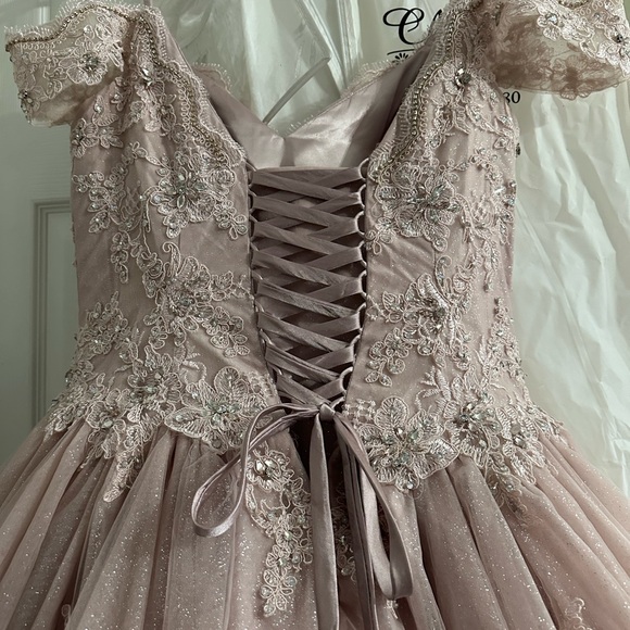 Fiesta Gowns by House of Wu Size 12 - Picture 10 of 16